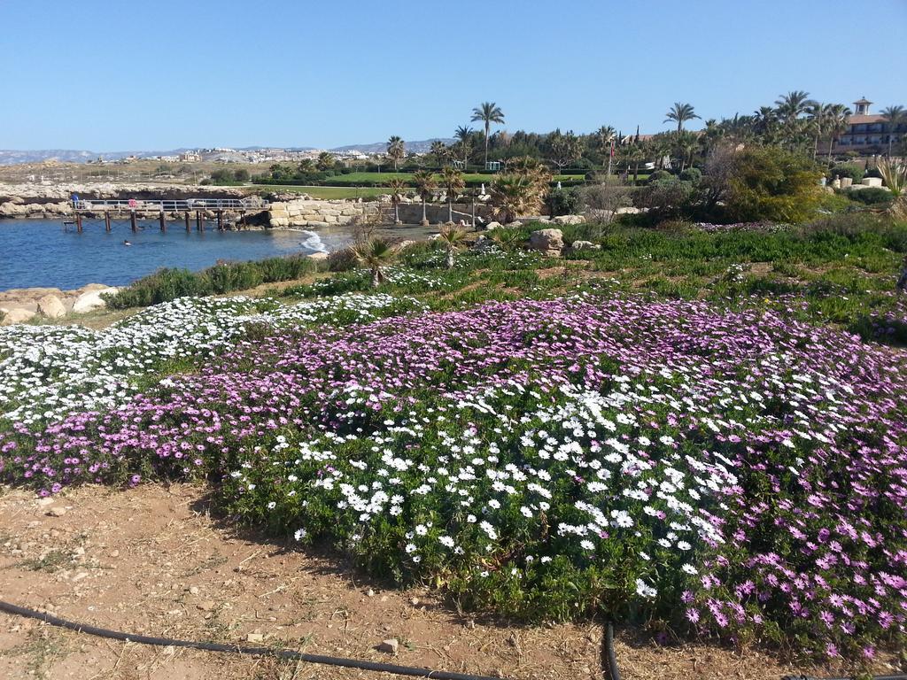 Faros Beach Пафос Экстерьер фото